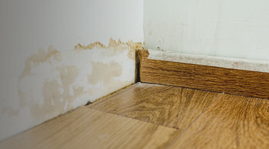 Why choose Trevors Restoration Team for water damage restoration in Burlington